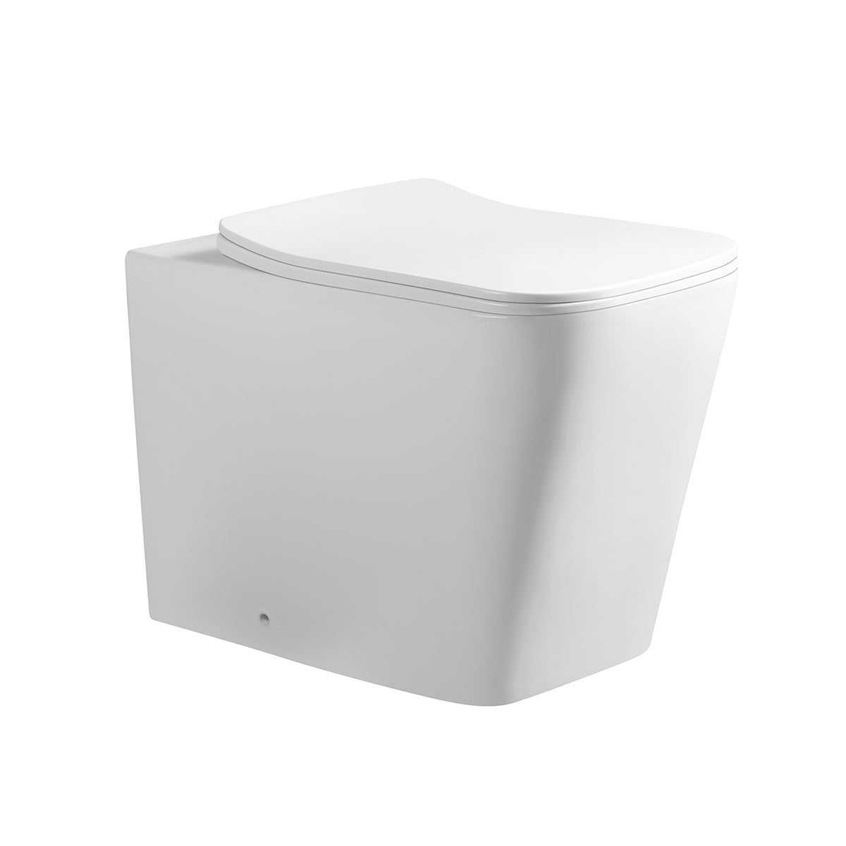 3303 Rimless Wall Face Toilet